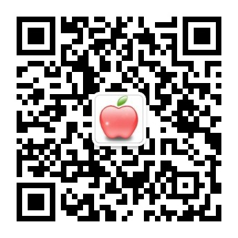 1号站手机登录不上